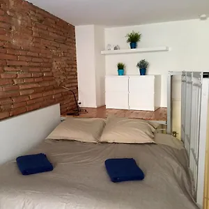 Le Petit Moulin, Duplex Hypercentre Toulouse